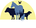 Mare Services - Vet in New Berlin | Leatherstocking Veterinary Group