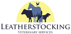 Leatherstocking Veterinary Group