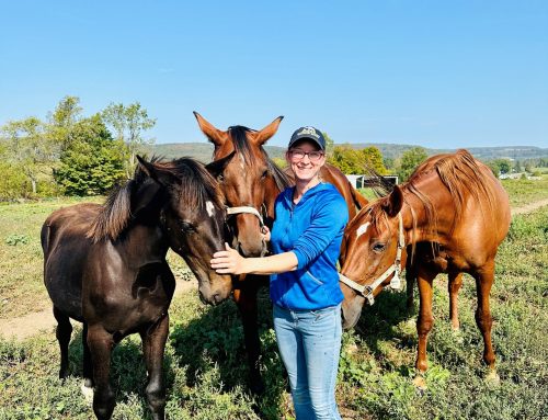 Employee Spotlight – Hillary Hartnett