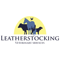 Stallion Services - Vet in New Berlin | Leatherstocking Veterinary Group